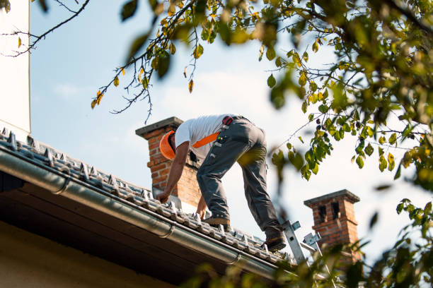 Best Roof Leak Repair  in Clifton Springs, NY